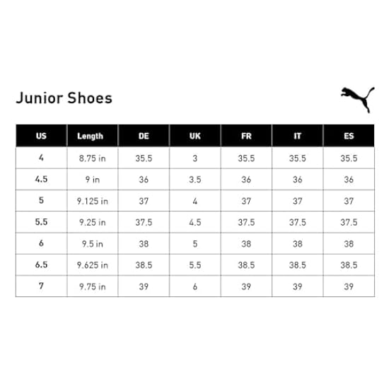 PUMA Future Rider Sneaker, Play On Hero Blue-White, 4.5 US Unisex Big Kid 982297846