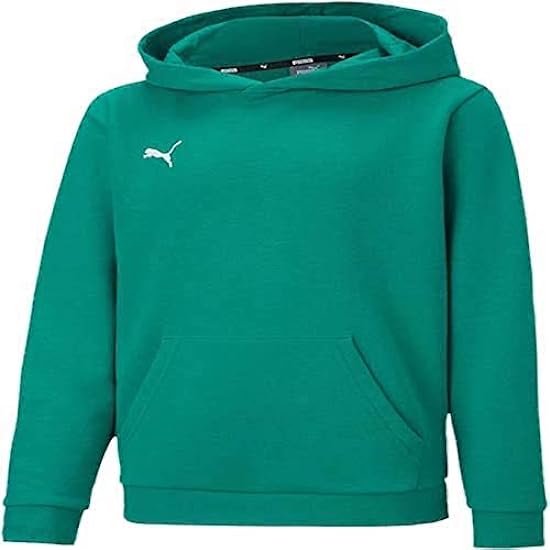Puma Unisex Kids Teamgoal 23 Casuals Hoody Jr Knitted S