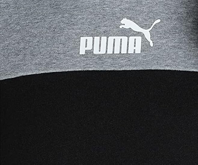 Puma Ess+ Block Hoodie TR 496160900